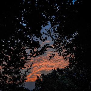 光溜溜的美女素材图片
