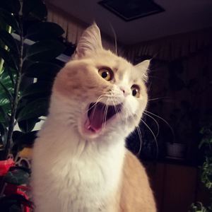 光溜溜的美女素材图片
